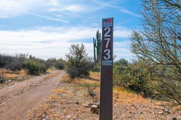 FS 273