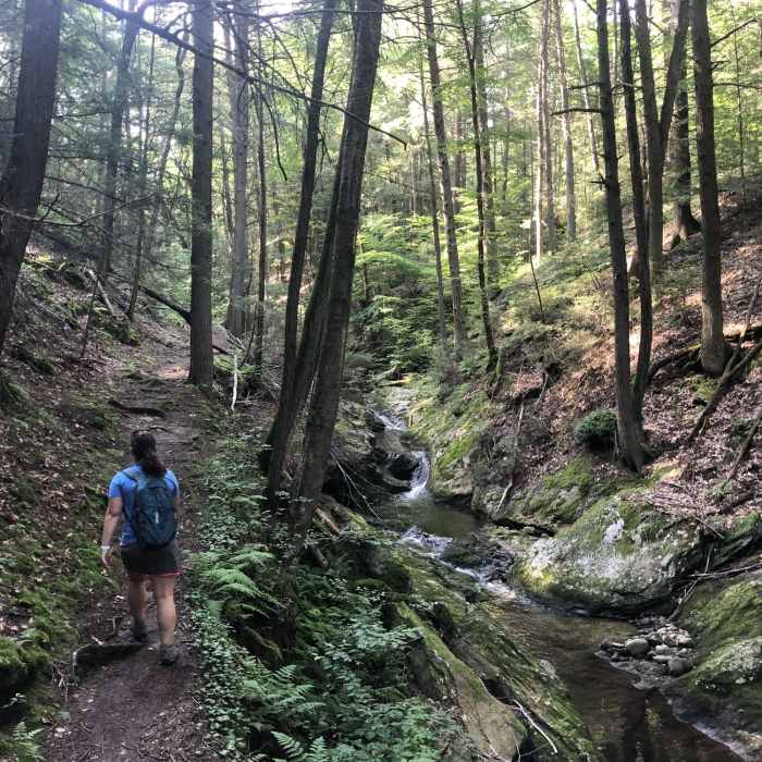 Near Blue Blaze Trail