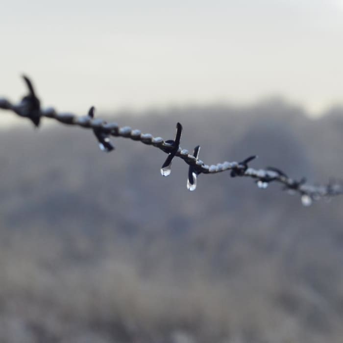 Near East Moraine, Wallowa Lake