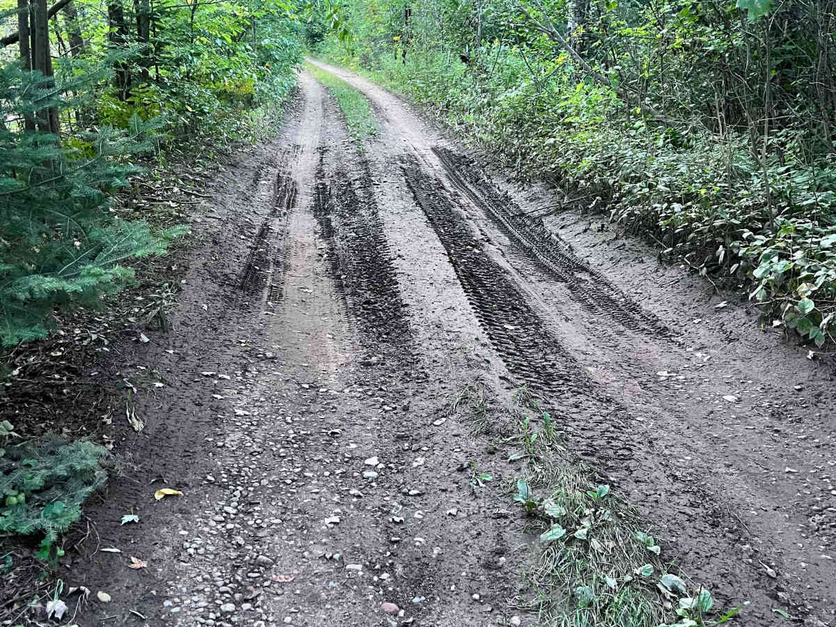 Old Grave Road photo 5