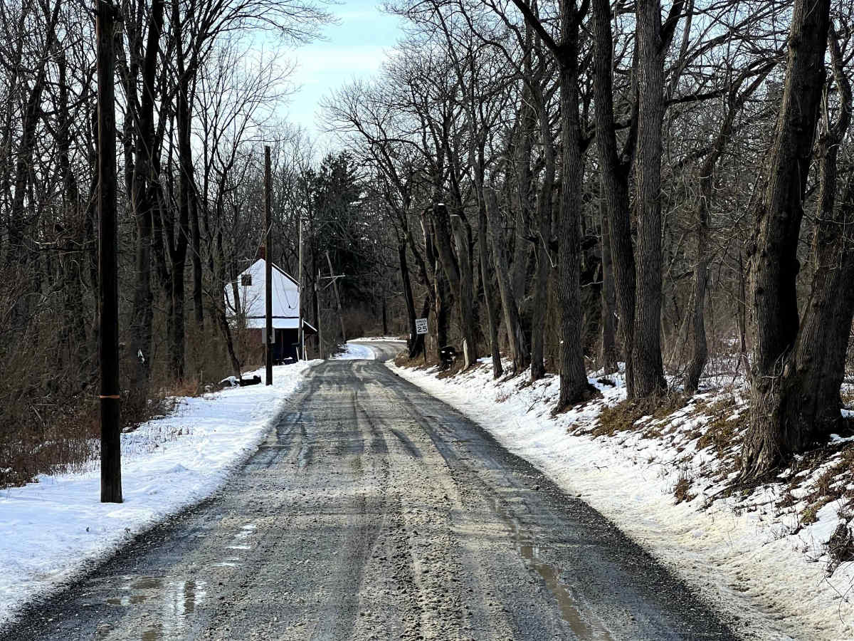 Possum Hollow photo 6