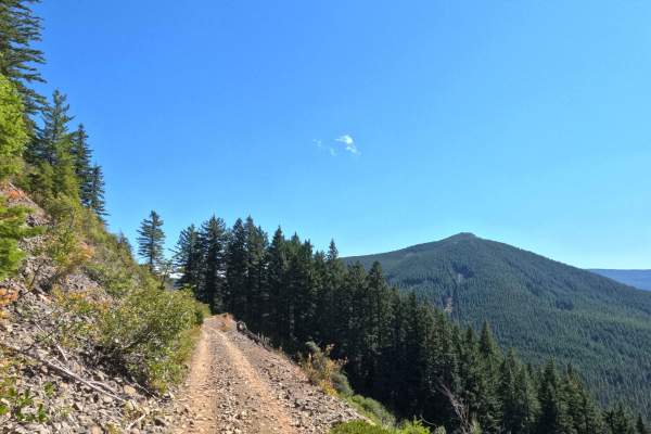 Abbott Road East - FS 4610000