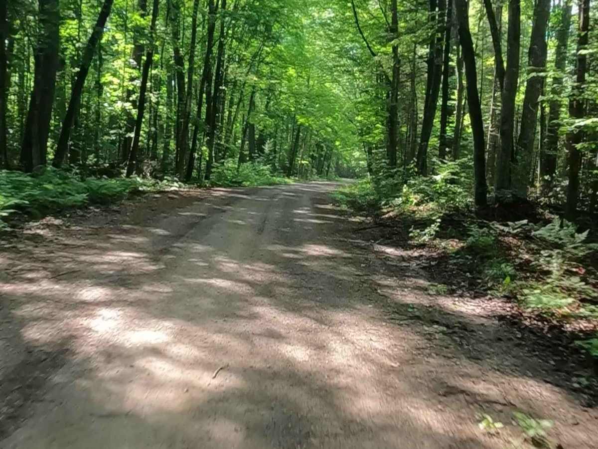 Little Black River - FSR 2233 photo 5