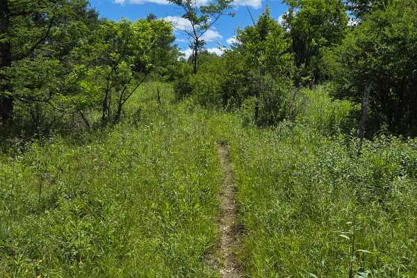 Single Track OO