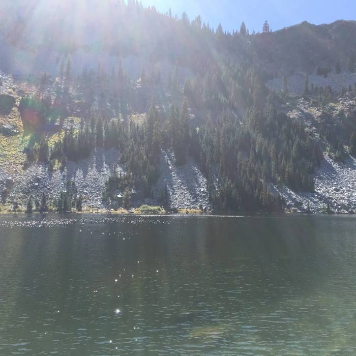 Near Long Gulch Trail