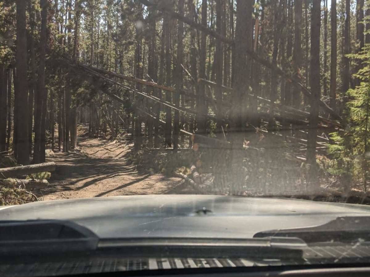 Whitetail Reservoir photo 5