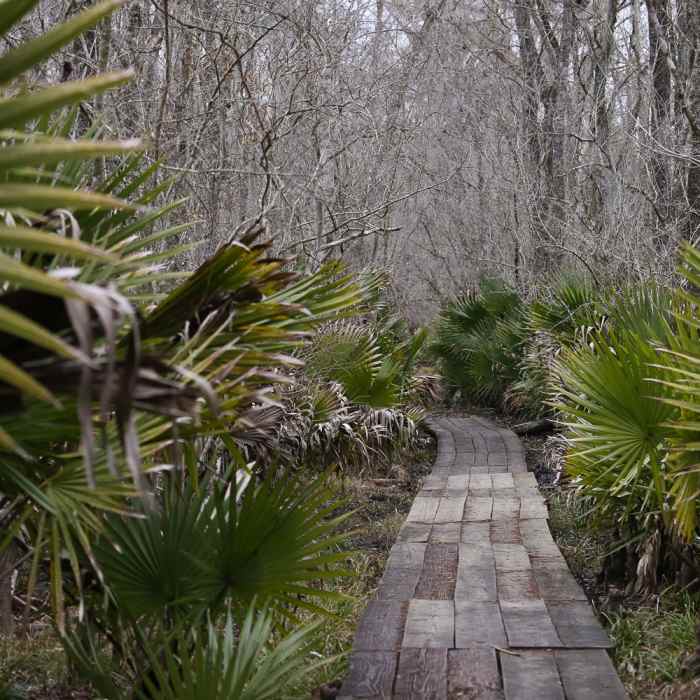 Near Ring Levee Trail