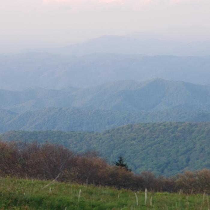 Heading towards Grassy Ridge Bald. Near AT: Carver's Gap to US19E