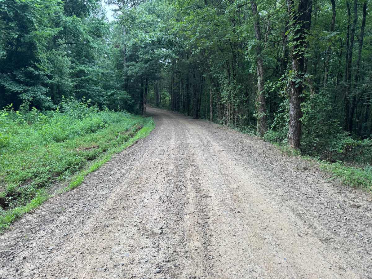 County Road 3355 photo 2
