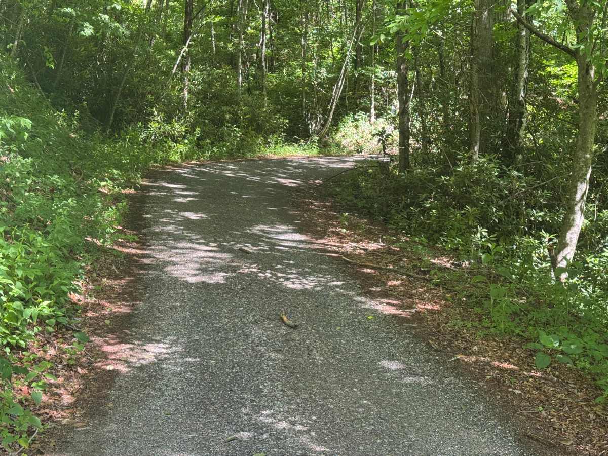 Barnett Creek - FS 6236 photo 3