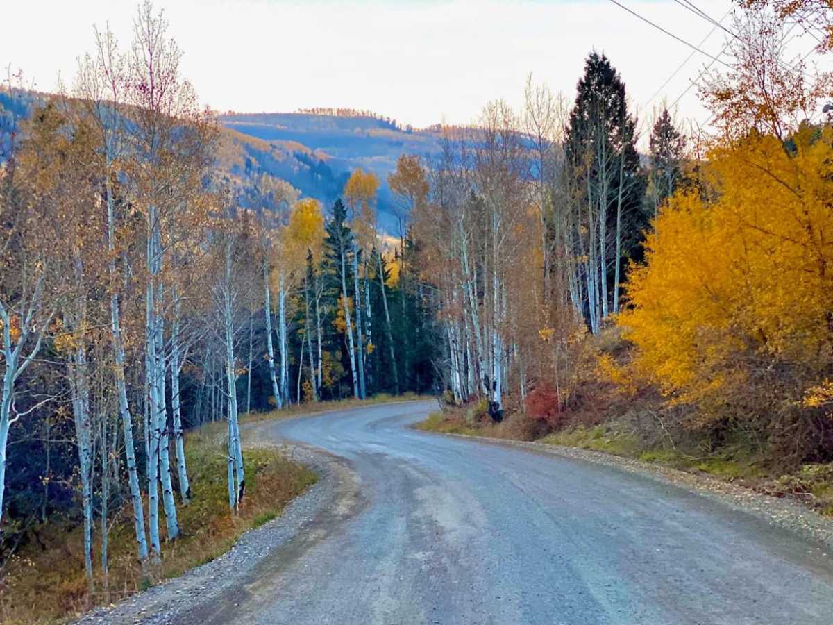 South Fork Ilium Road photo 5