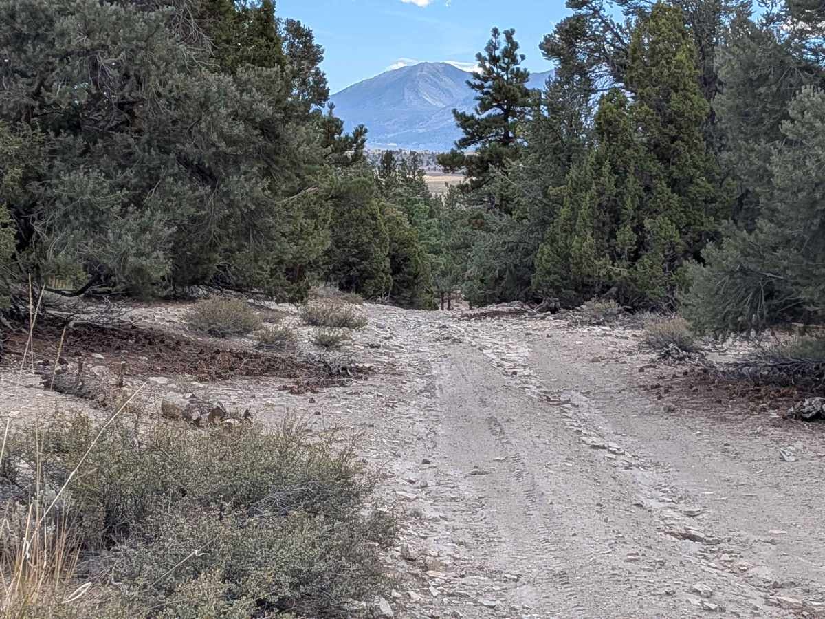 FS 3S140 trail photo