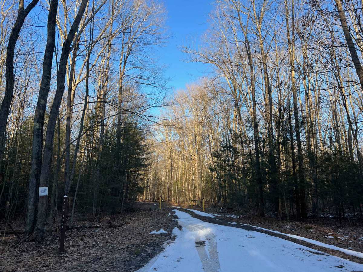 Snow Trail trail photo