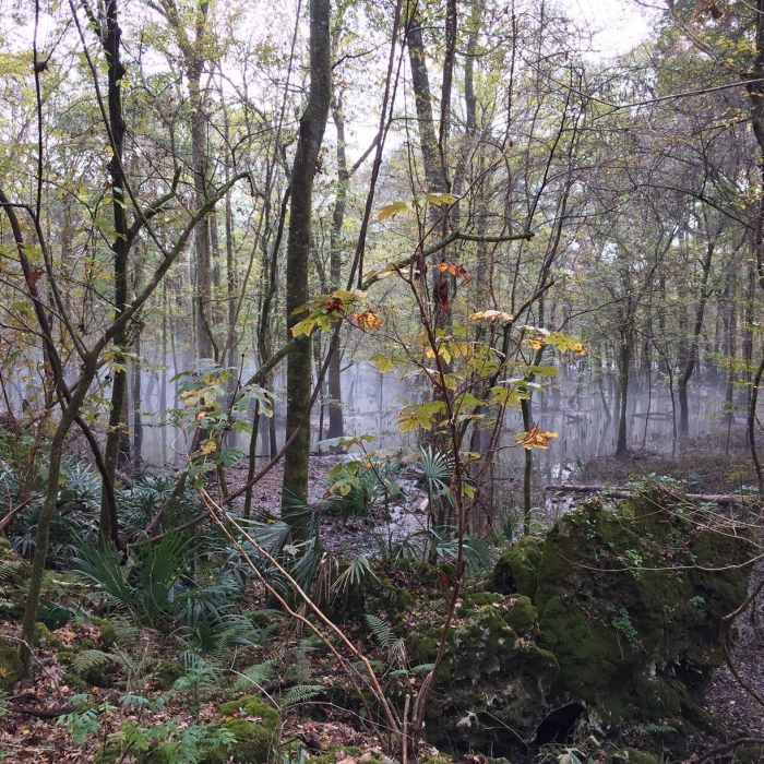 Near Bluff Trail