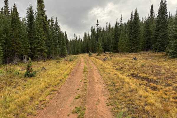 Little Woody Road