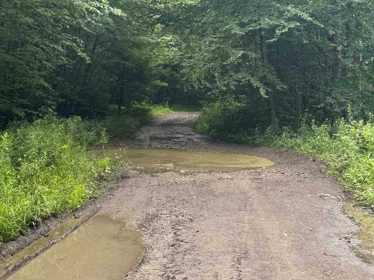 Trail 66 photo 2