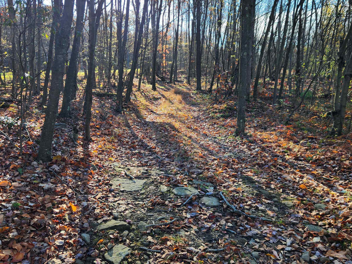 OHV 1 - Rock Run Recreation Area photo 2