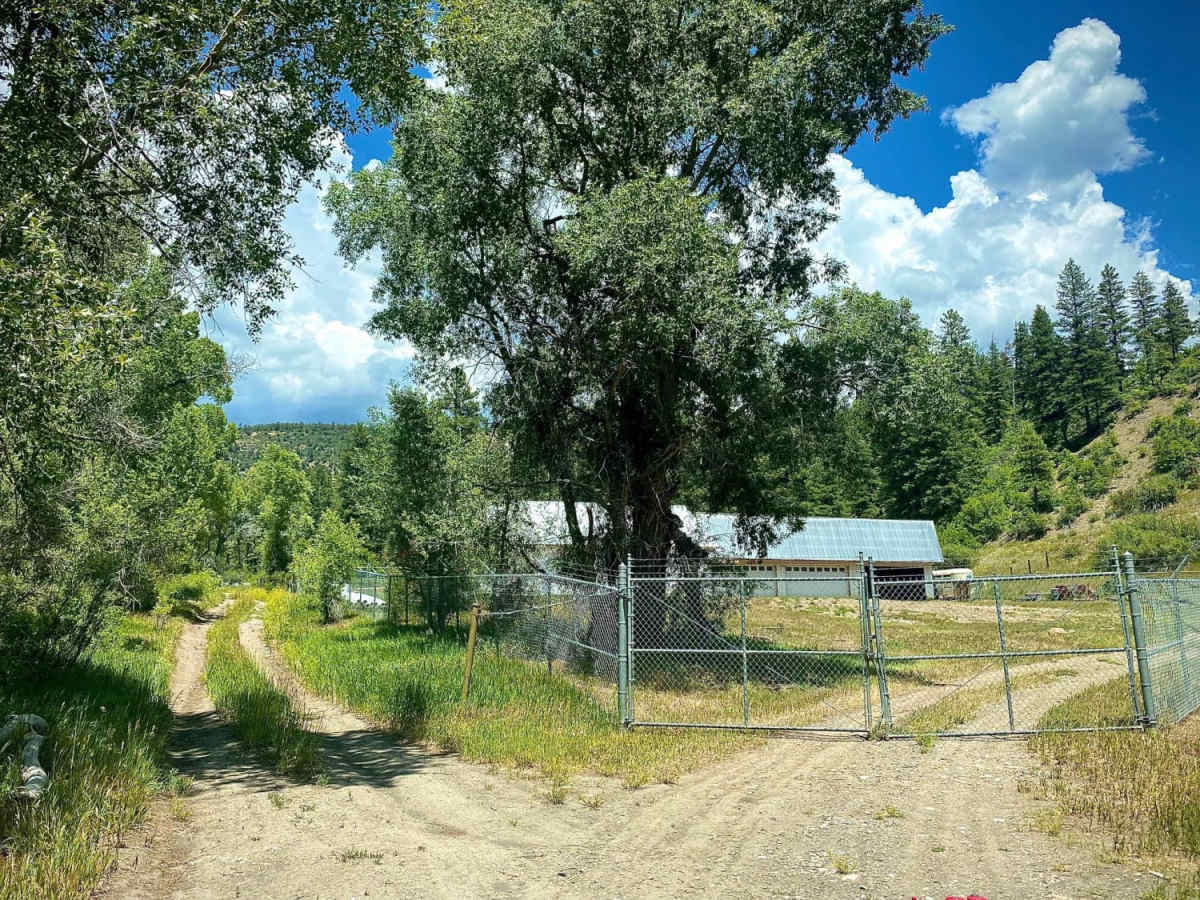 Devil Creek Wildlife Management Area-Fr Rd 627 trail photo