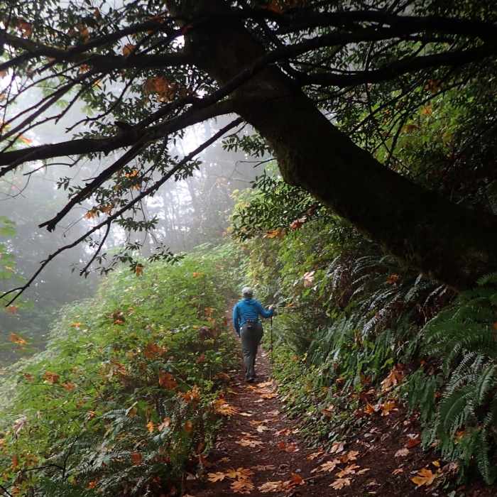Near Humbug Mountain Trail