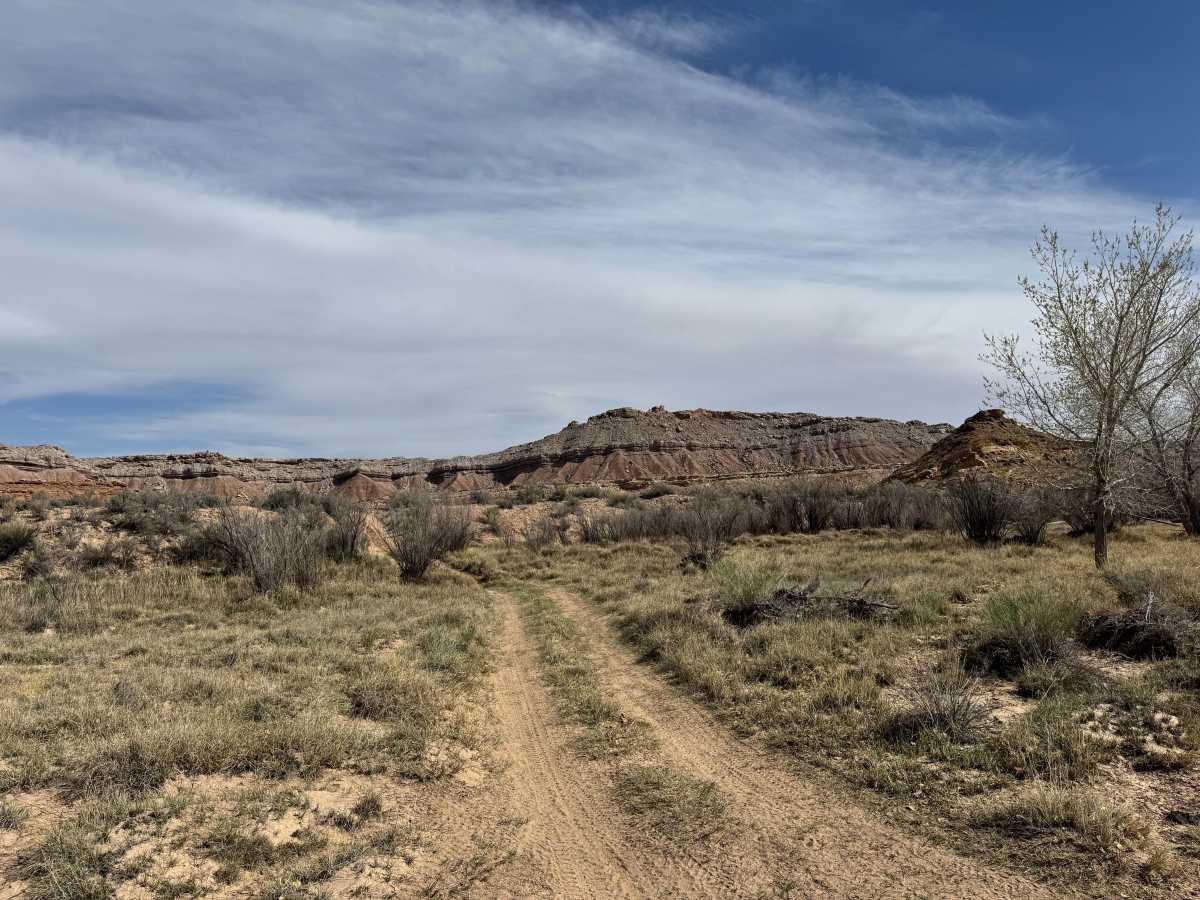 Tidwell Draw trail photo