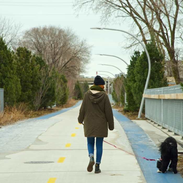 Near The 606 (Bloomingdale Trail)