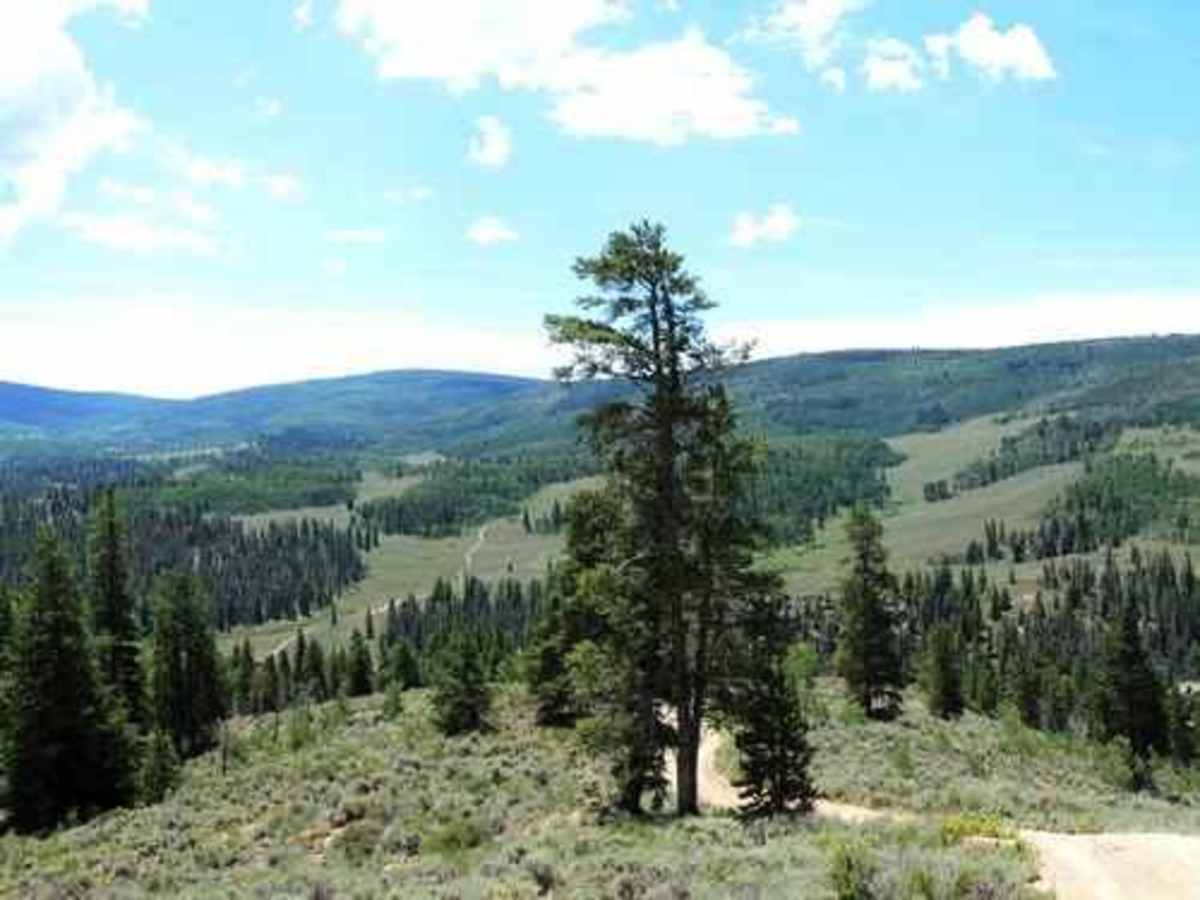 Onemile trail photo