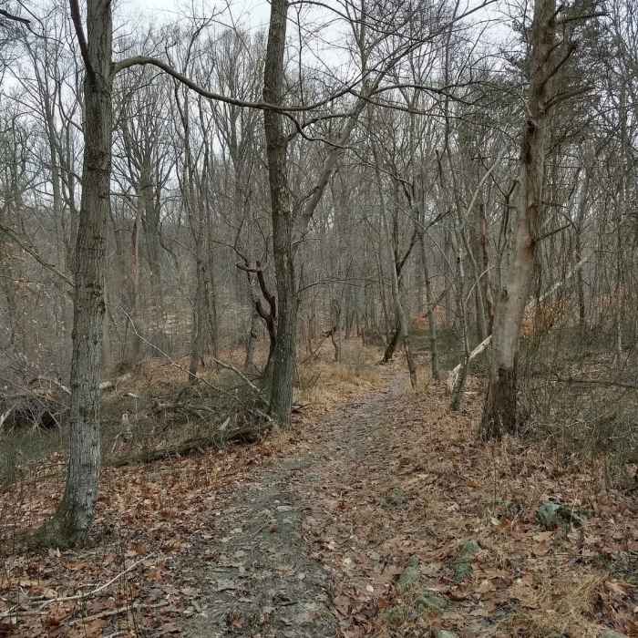 Near Tour of Lake Roland