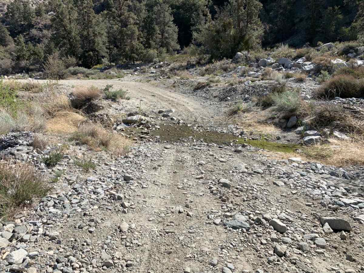Mescal Canyon Road photo 5