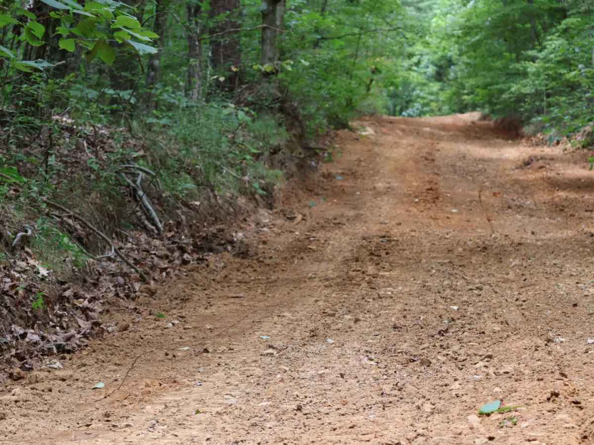 Inman Point Road photo 6