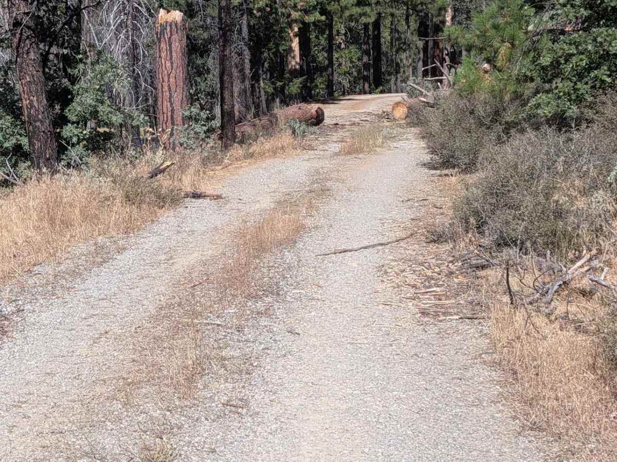 Reagan Meadow Road - FS 28N68 photo 5