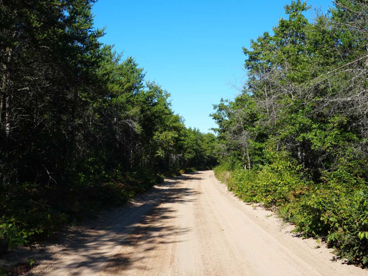 West Rollway Road photo 5