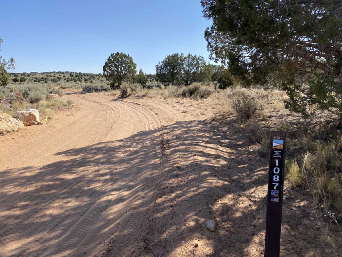 White Pocket Road trail photo