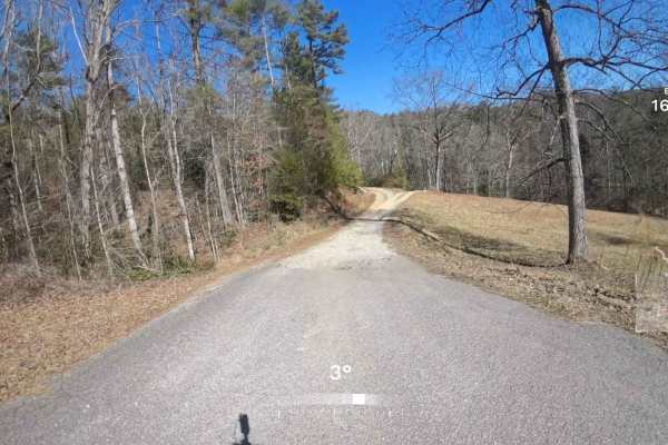 Raper Creek Road - FS 376