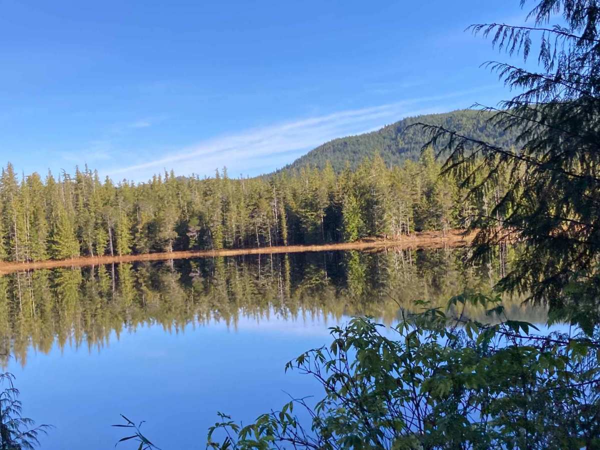 Loon Lake Road - FS 2060100 photo 2
