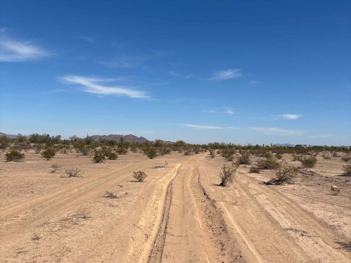 Cholla Road photo 5