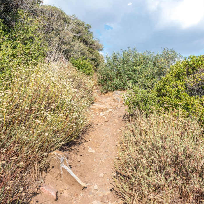 Near Desert View Trail via Burnt Rancheria Campground