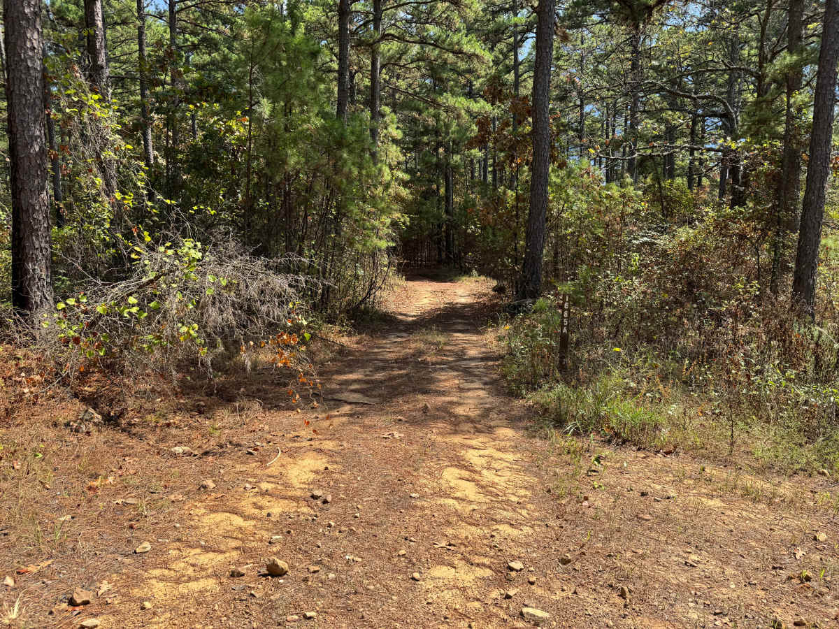 Piney Ridge trail photo