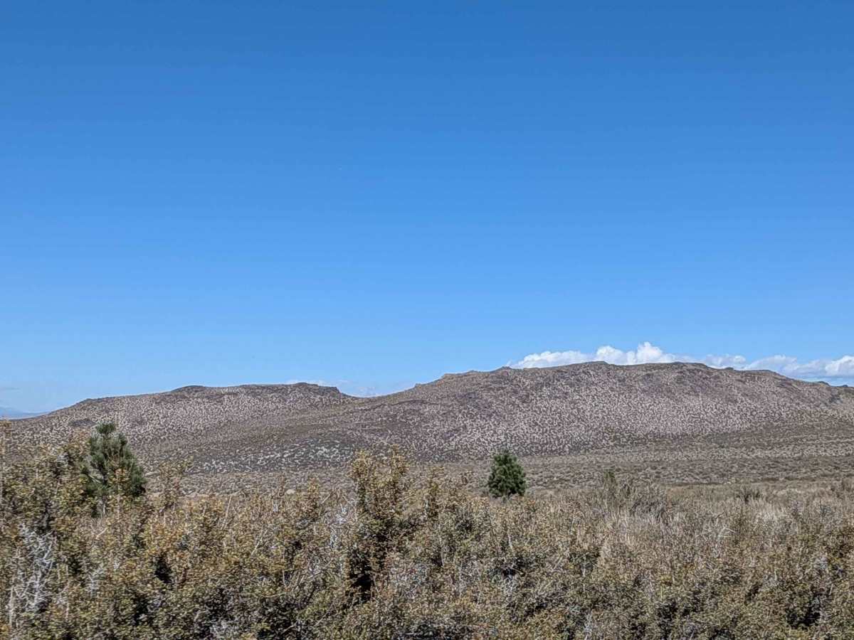 Sage Hen Meadows Road photo 3