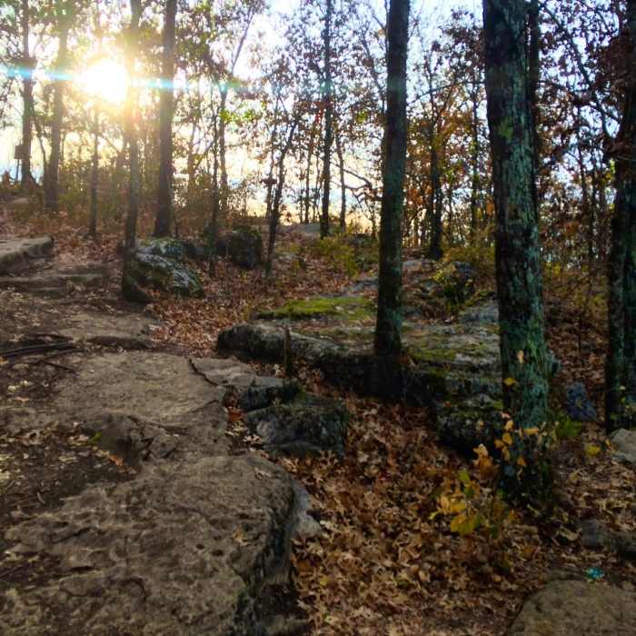 Great place for sunsets and an overlook spot to relax. Near Possum Loop Trail