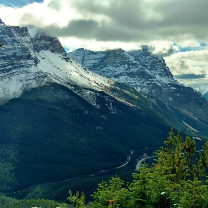 Near Paget Lookout Trail