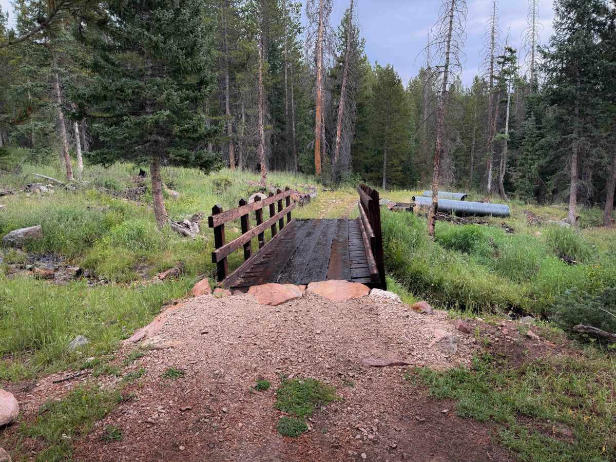 Broadhead Loop - FS 306  photo 6