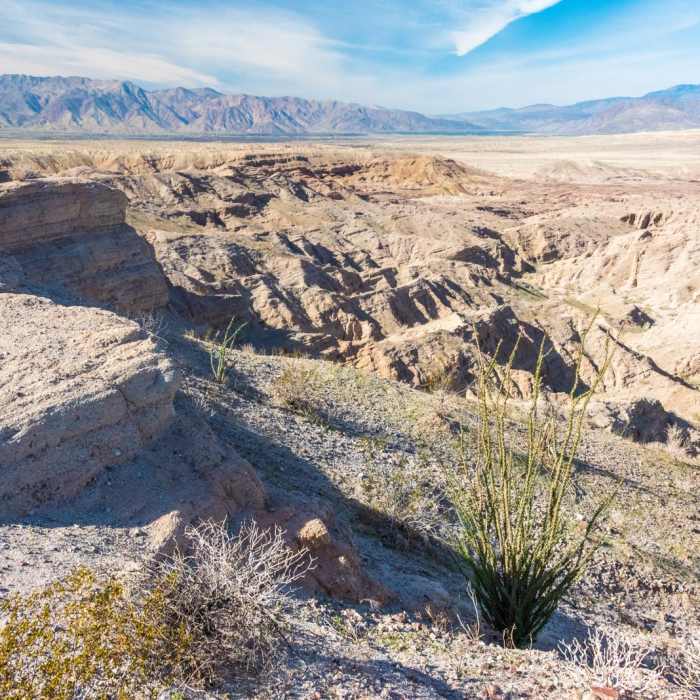 Near West Butte Mountain and the Slot