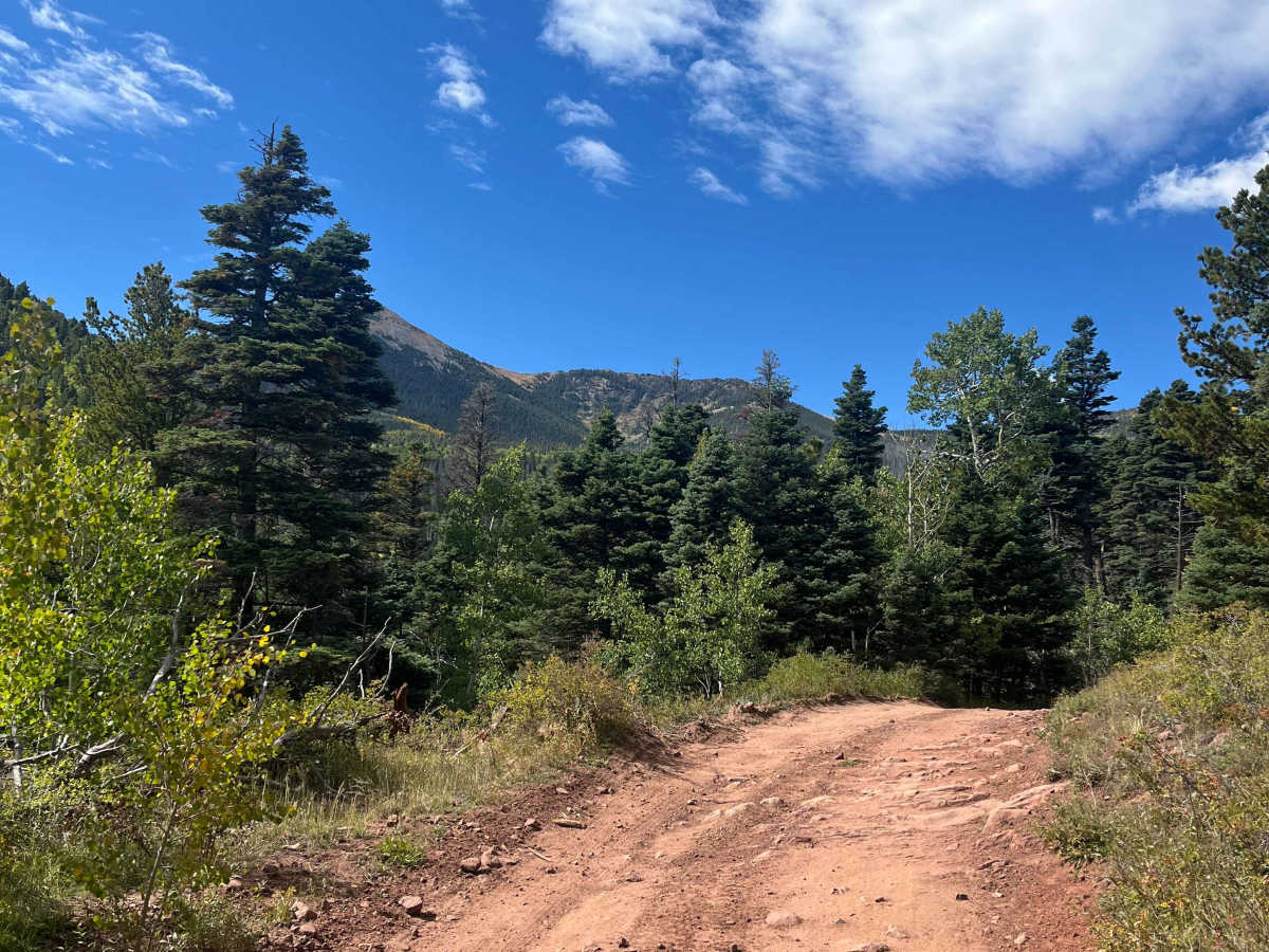 Music Pass Road photo 3