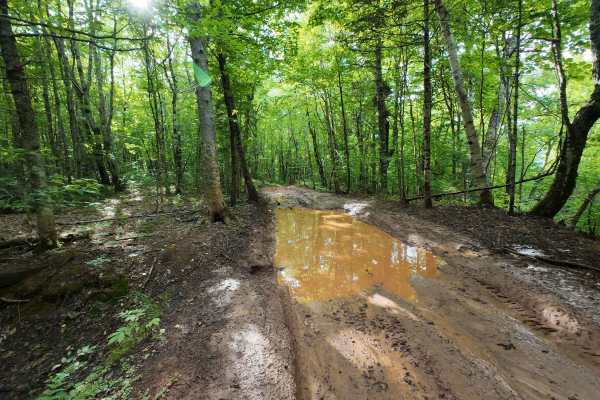 Mud Hill