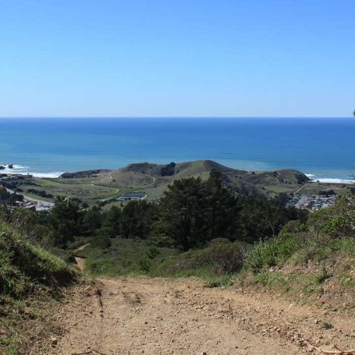 Near Mori Ridge Trail