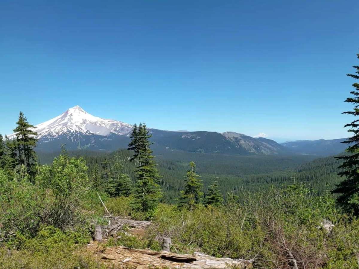 Bennett Pass photo 6