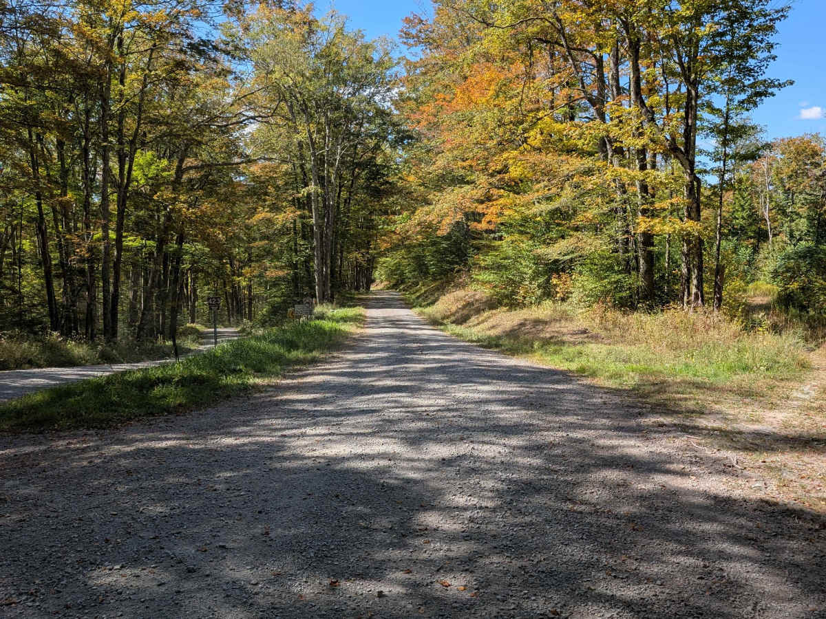Laurel Fork Overlook trail photo