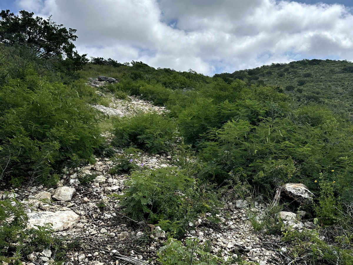 Rubicon Ridge photo 4