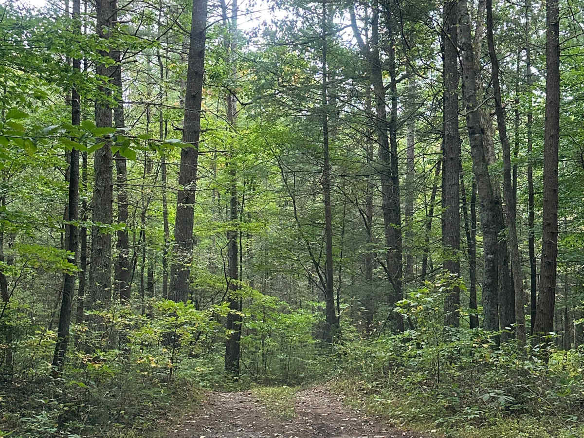 Kephart Run photo 6