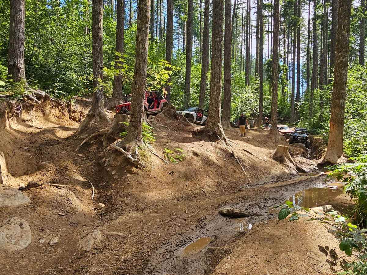 Busywild Trail photo 6